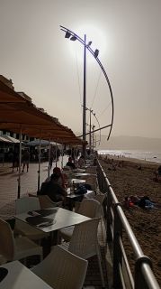 GC-Paseo Las Canteras (Las Palmas) 2026-063.jpg